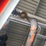 Sistemas de Bombeo
